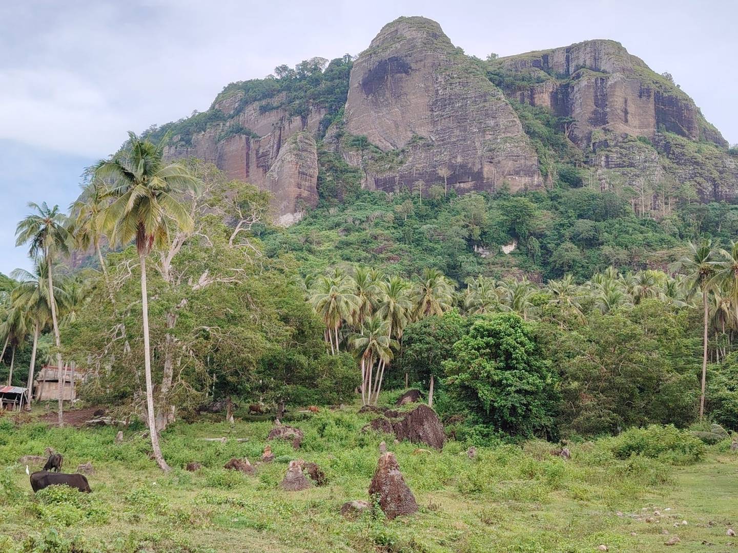 Bongao Peak