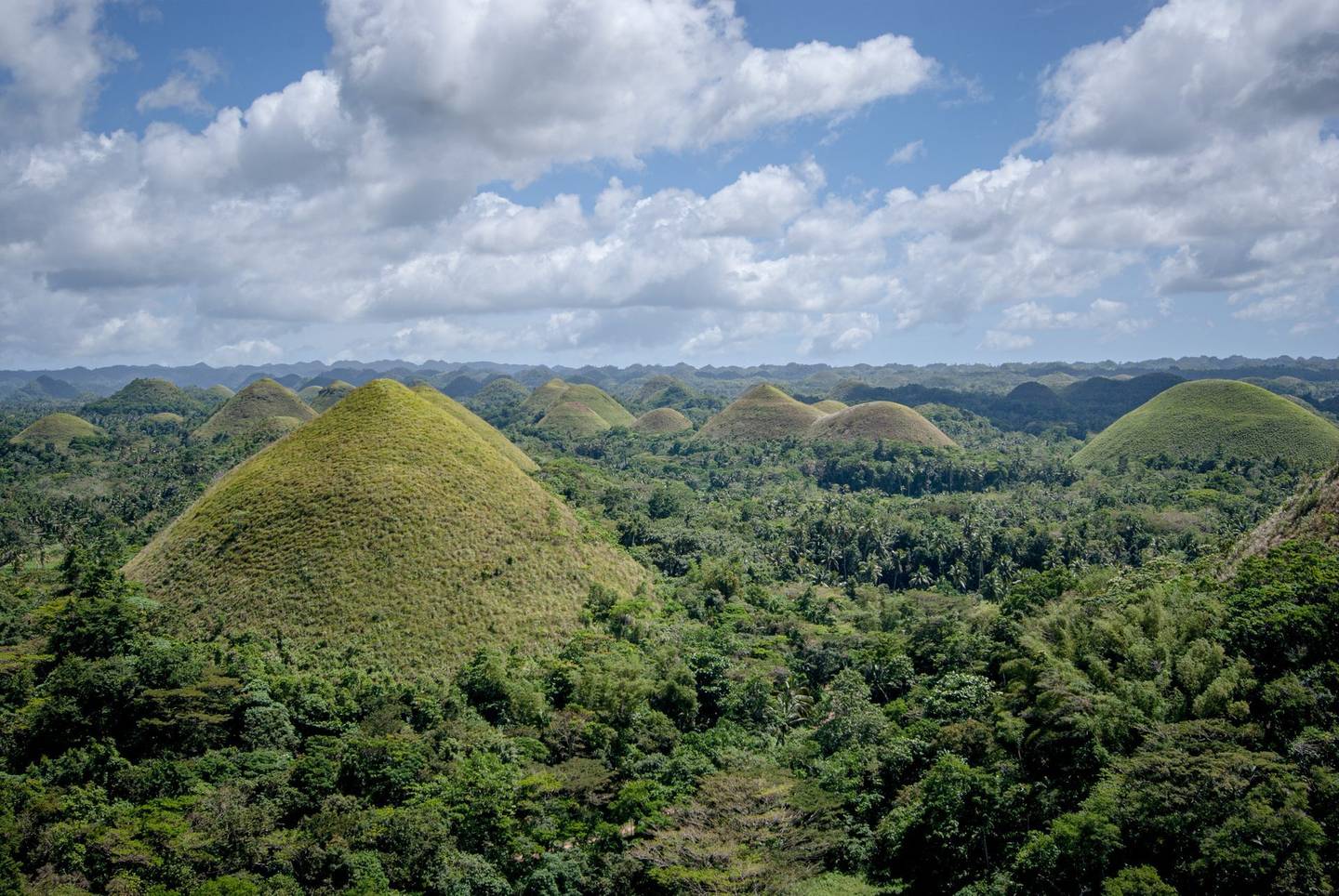 Chocolate Hills