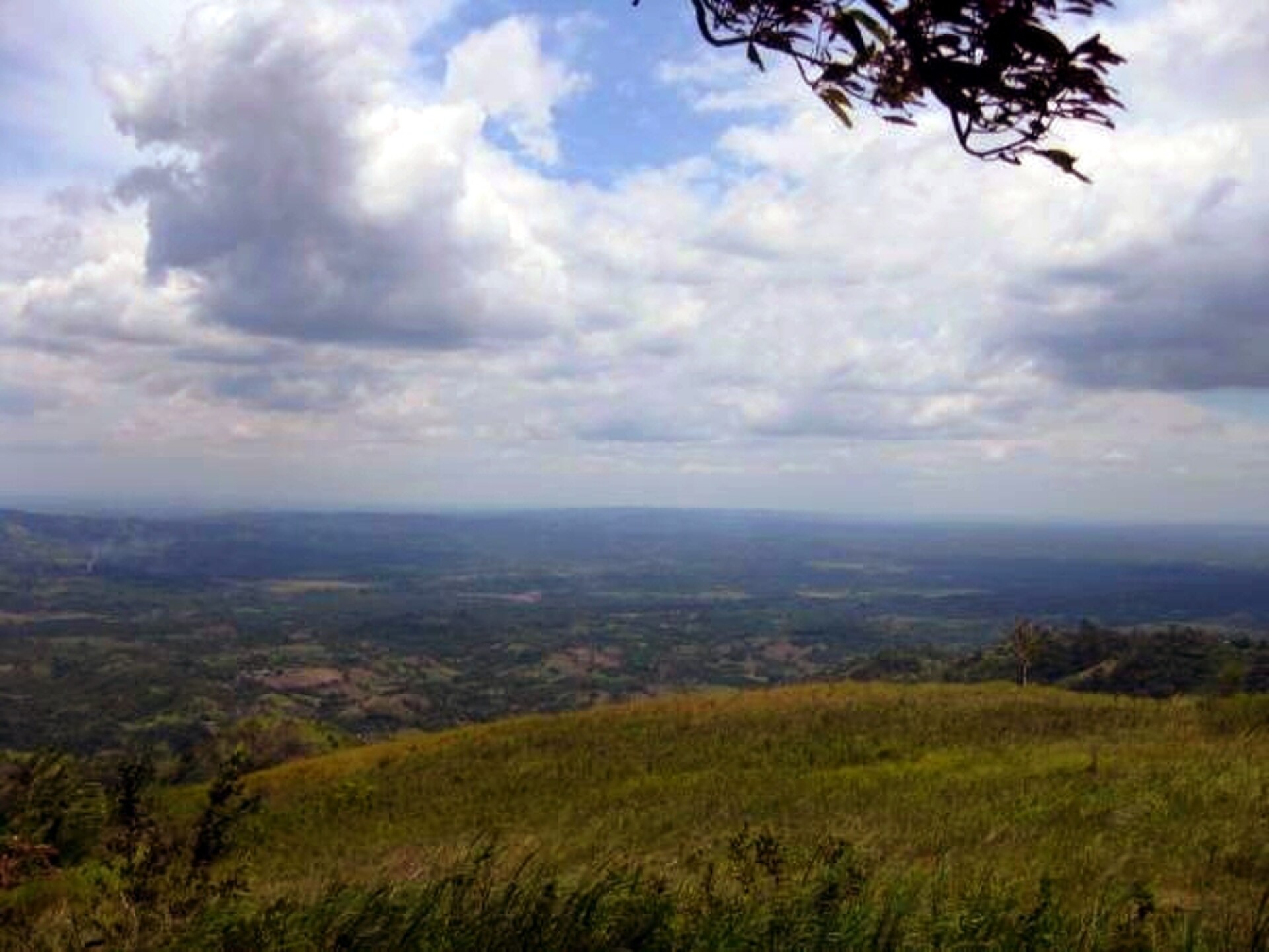 Ligawasan Marsh