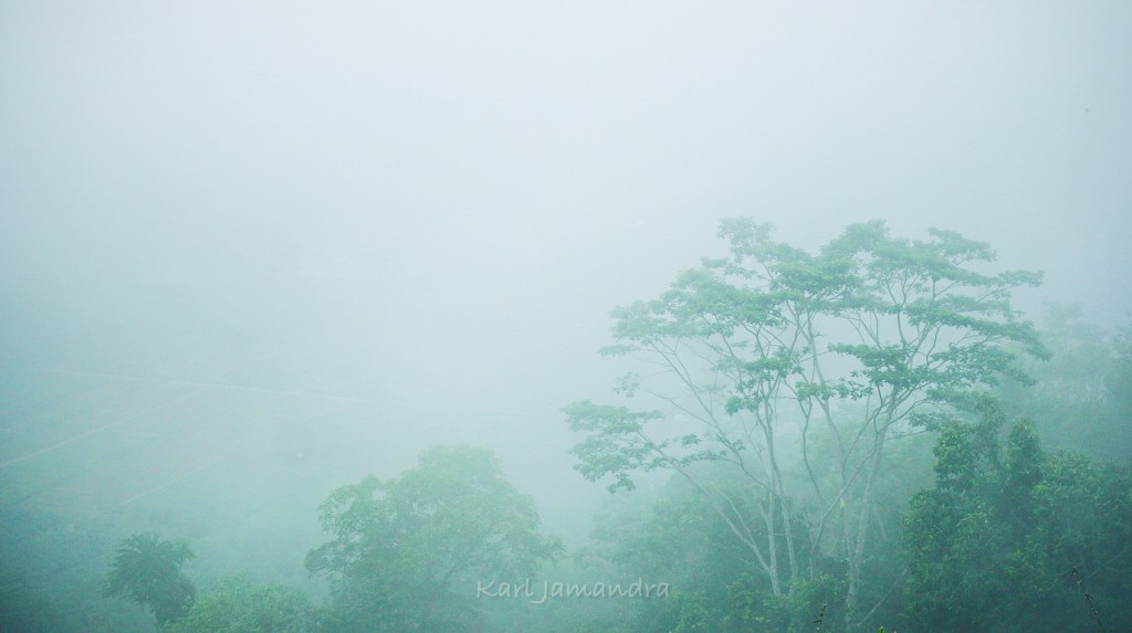 Maragusan Valley