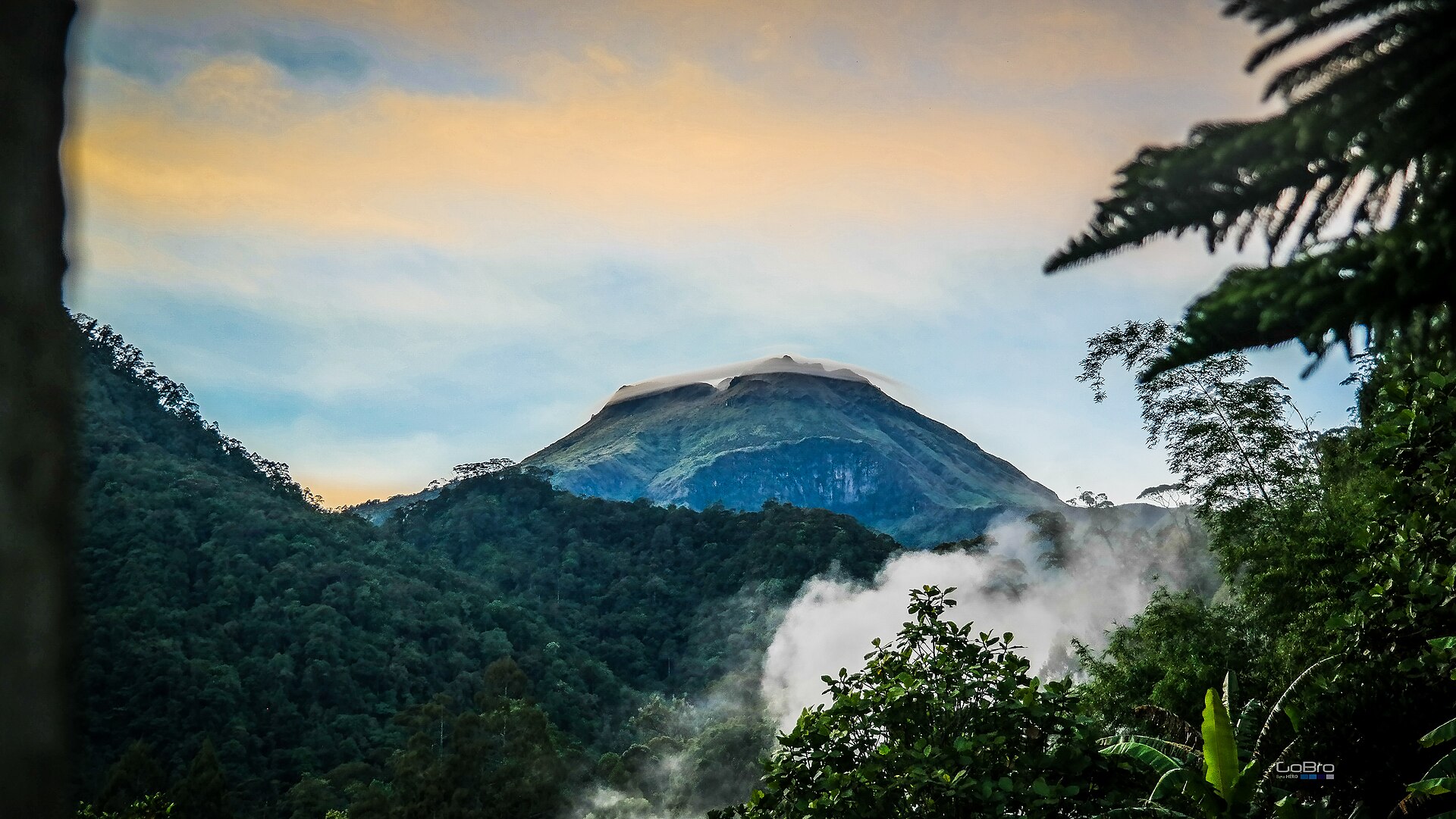 Mt. Apo