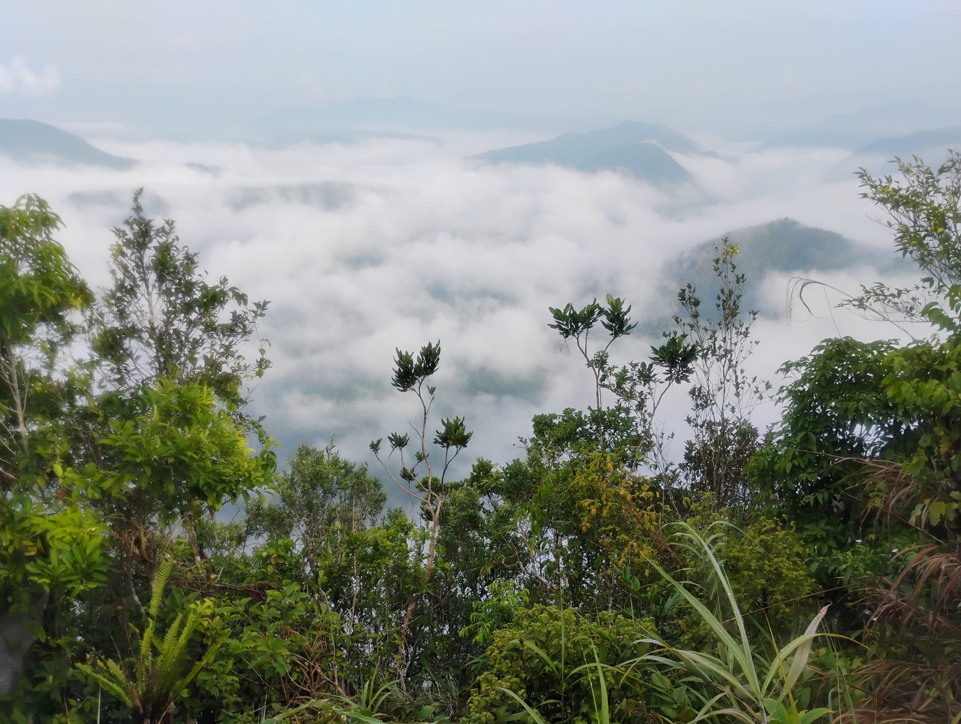 Mt. Daraitan Summit