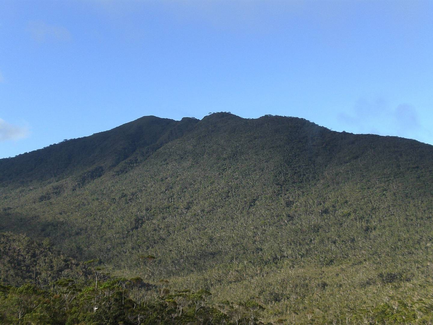 Mt. Hamiguitan Range Wildlife Sanctuary