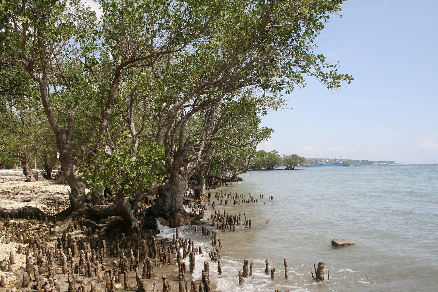Sarangani Bay National Park