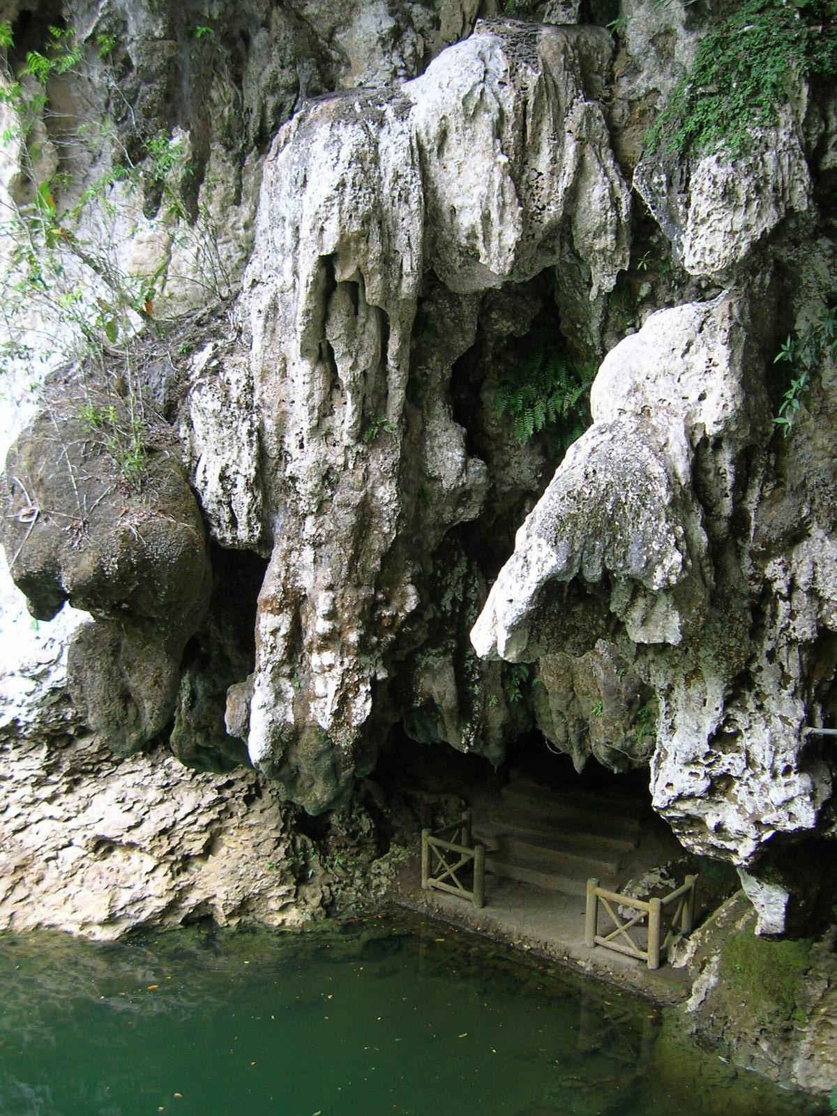 Sohoton Cove Stingless Jellyfish Lagoon