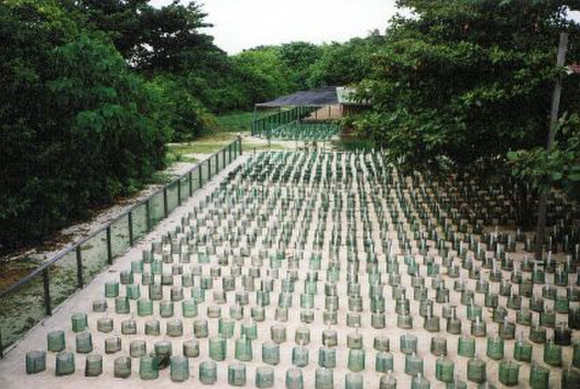 Turtle Islands Wildlife Sanctuary